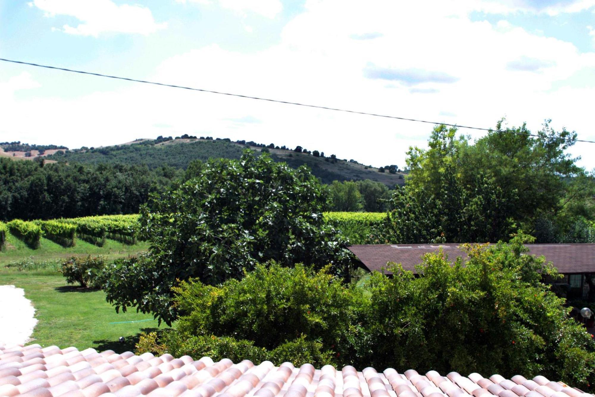 Agriturismo La Vecchia Quercia Montemerano Kültér fotó